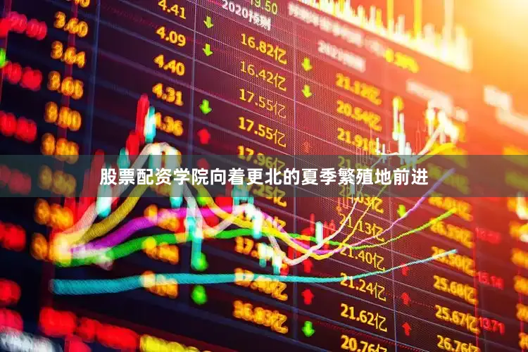 股票配资学院向着更北的夏季繁殖地前进