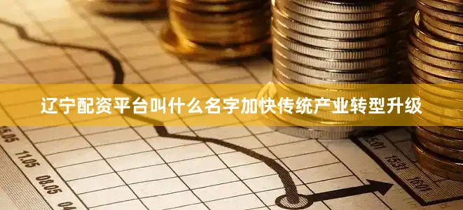 辽宁配资平台叫什么名字加快传统产业转型升级